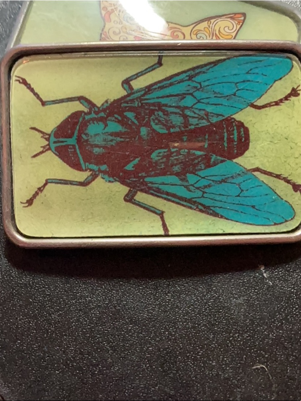 Fly Belt Buckle Vintage -1 owner